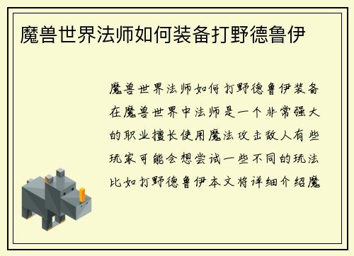魔兽世界法师如何装备打野德鲁伊